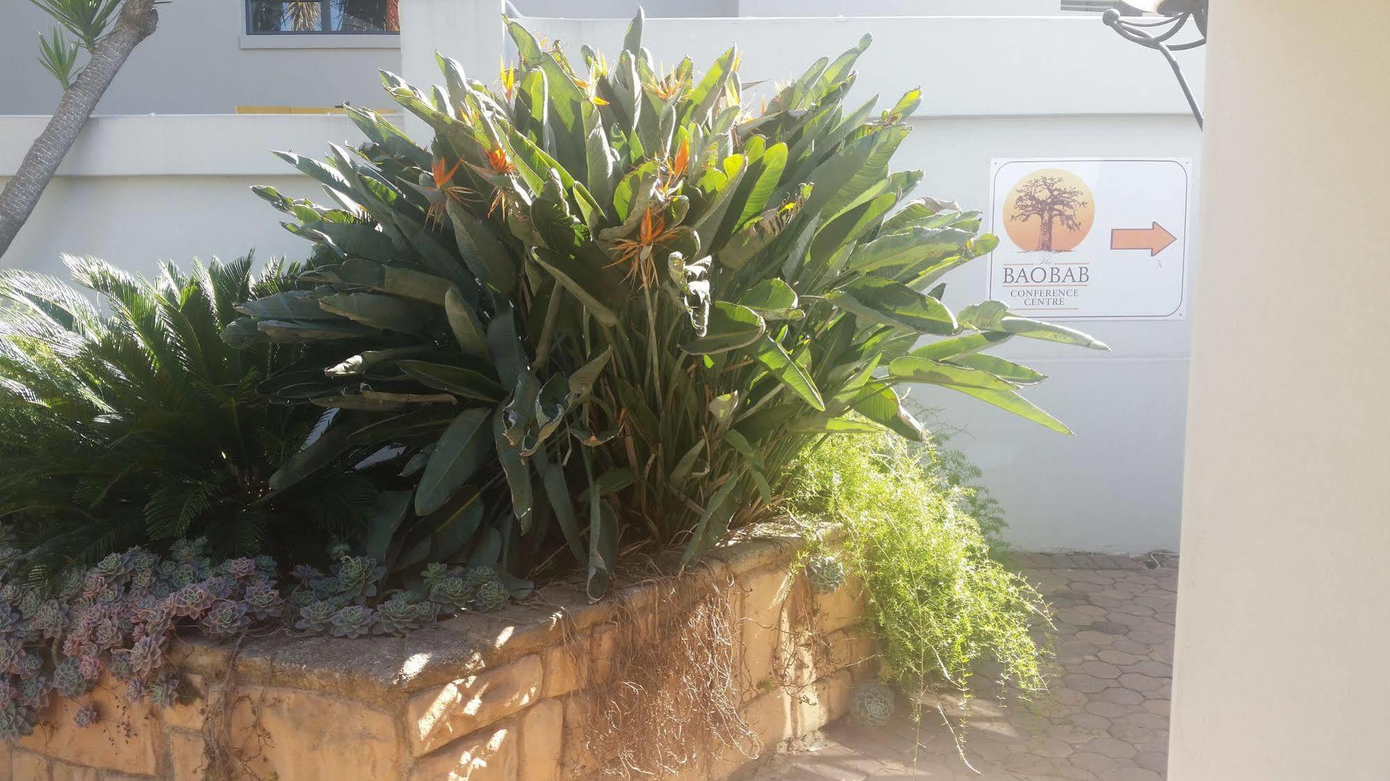 The Baobab Villa Midrand Eksteriør bilde